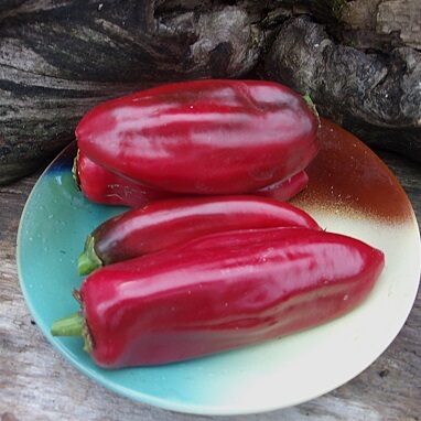 Sarkanā šokolāde (Красный шоколад)